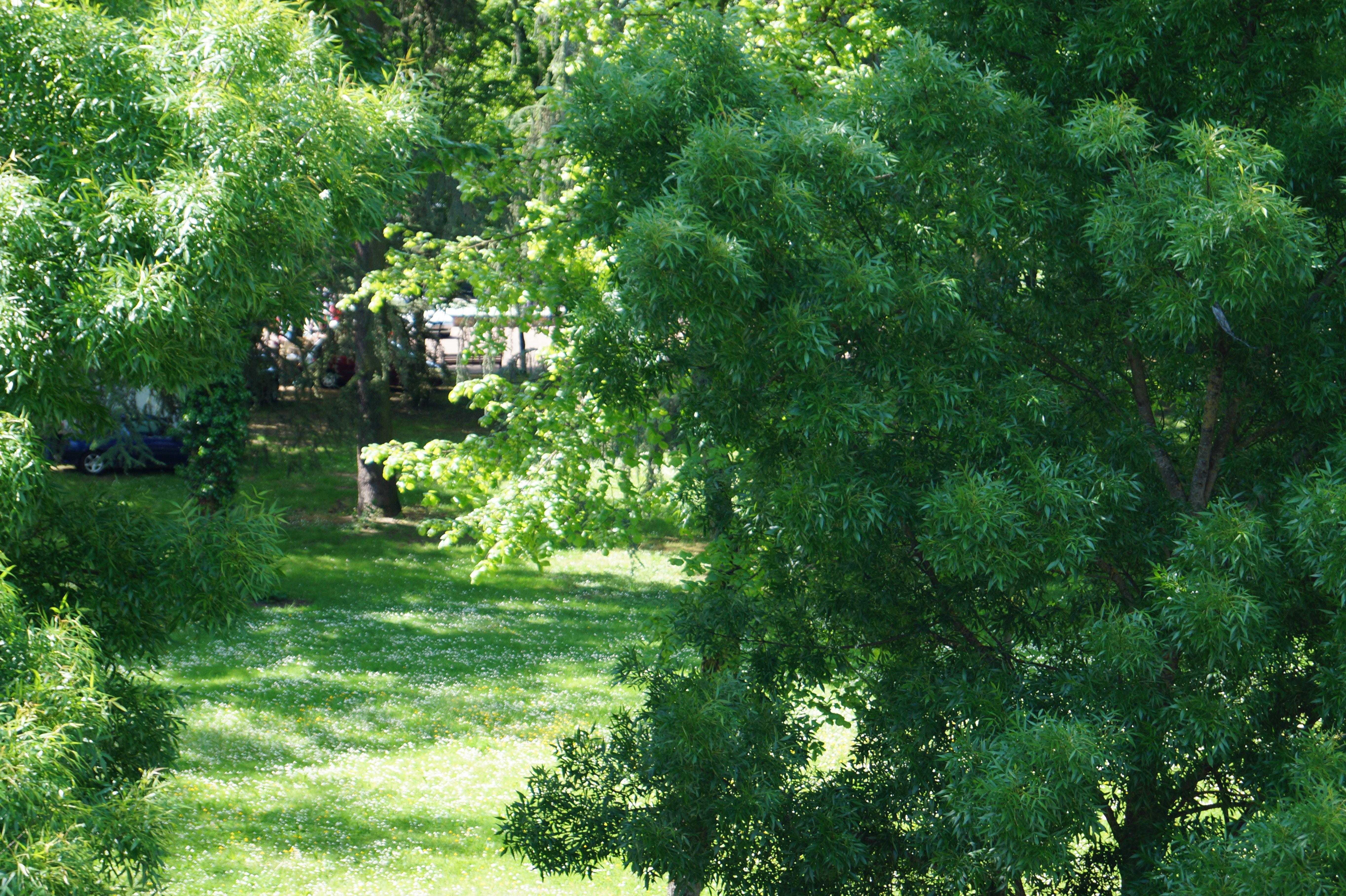 هتل De Verdun Nevers