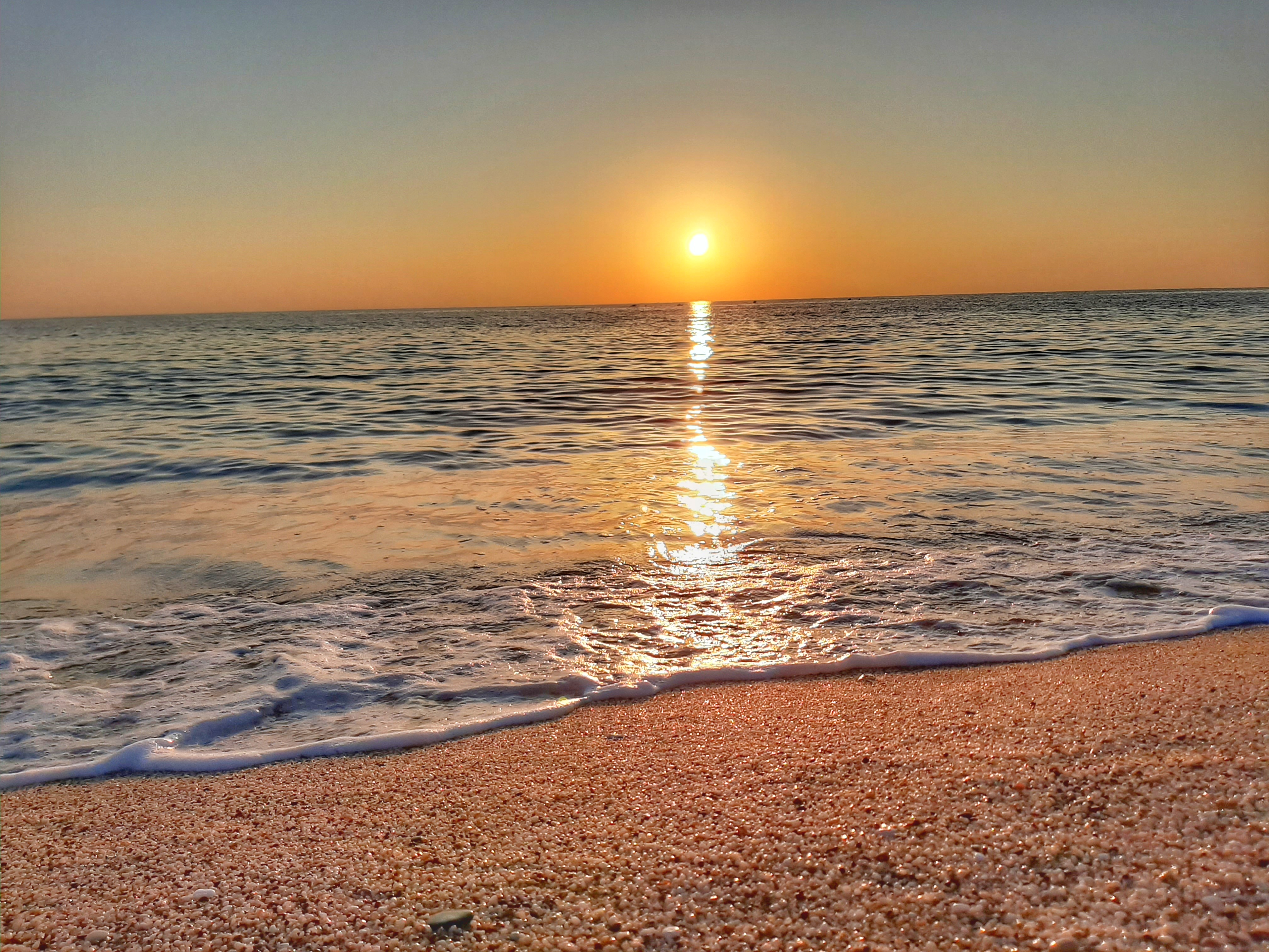 هتل Savk Hotel آلانیا