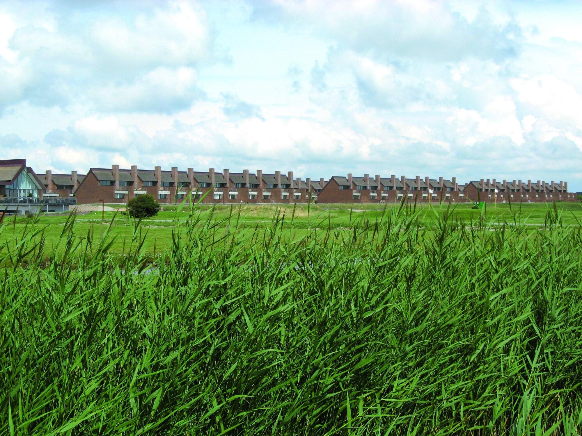 Alibaba https://cdn.alibaba.ir/ostorage/hotel/images/98131841/583FD47A25C347538CFBFBE8825DF4A9.jpg