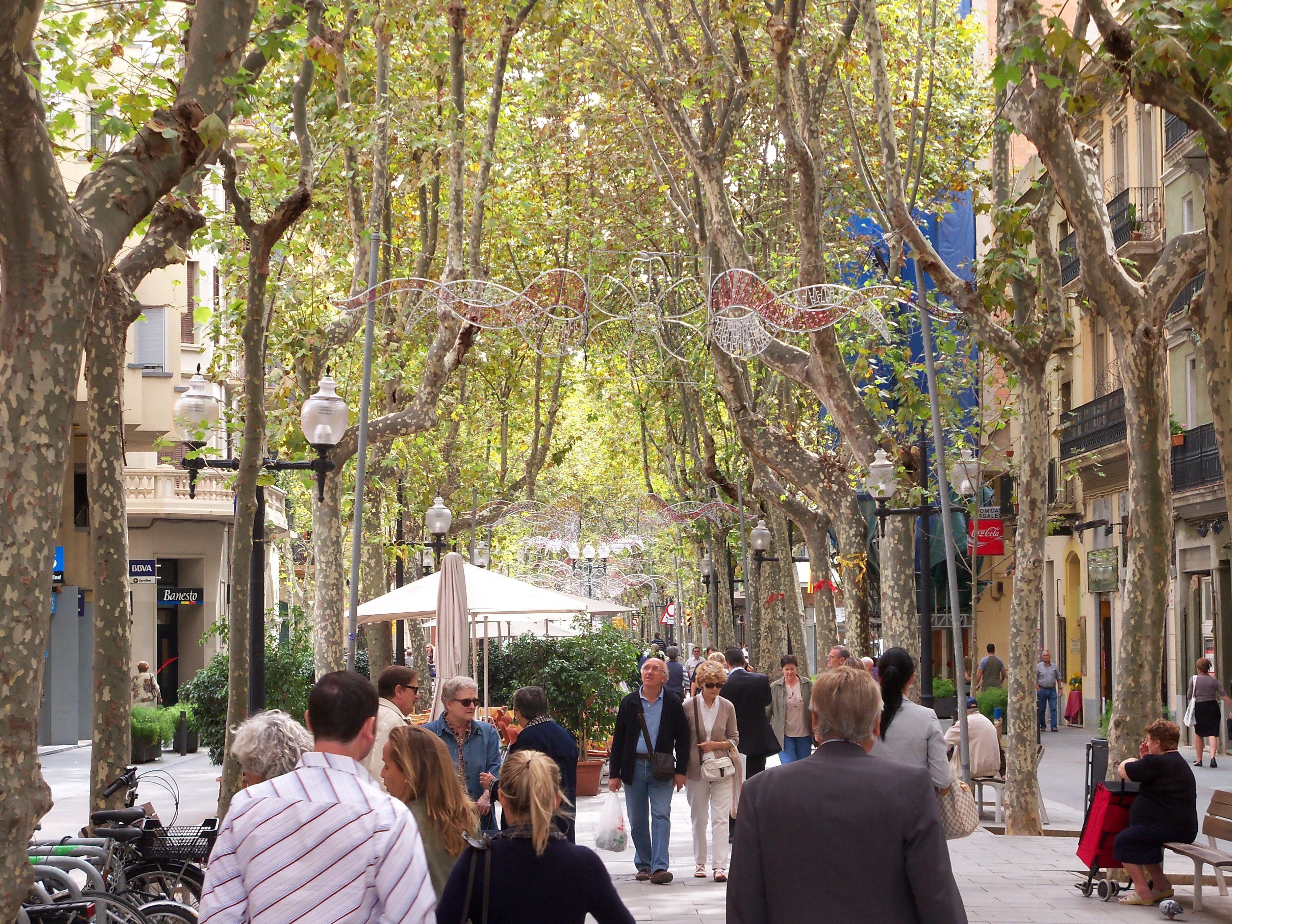 Alibaba https://cdn.alibaba.ir/ostorage/hotel/images/A2C6433/2BEBE24112DDB22096594211BB9B568B.jpg