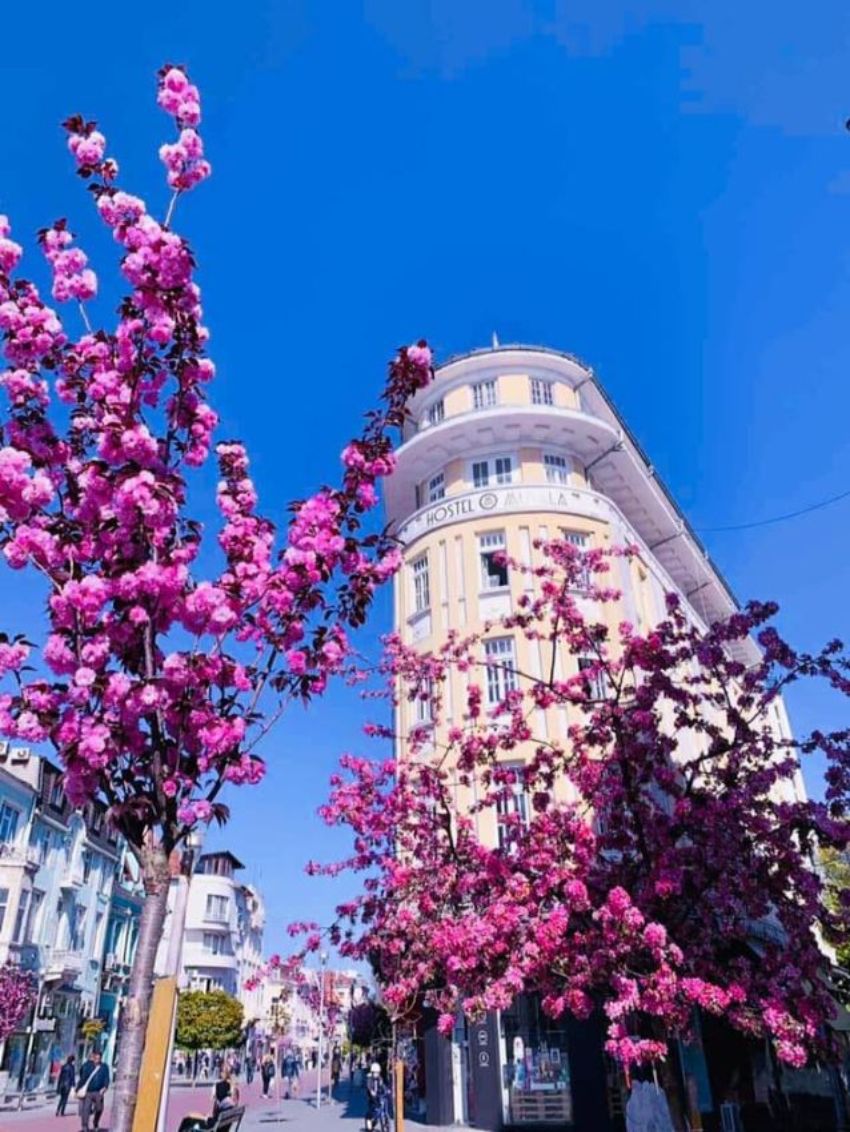 Alibaba https://cdn.alibaba.ir/ostorage/hotel/images/A4F91664/6E3435A3CA0E971CCA02AACAE47BBFD0.jpg