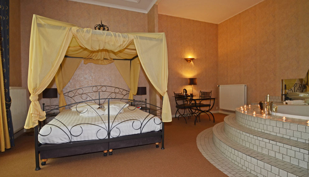 هتل Fletcher Hotel-Paleis Stadhouderlijk Hof لیوواردن