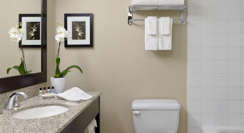 هتل چلسی تورنتو تورنتو