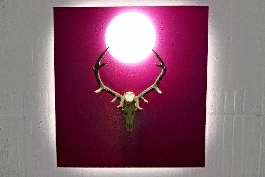 Alibaba https://cdn.alibaba.ir/ostorage/hotel/images/A97C8352/D471CA37EAA6C7229BBA1B6B1472D31A.jpg