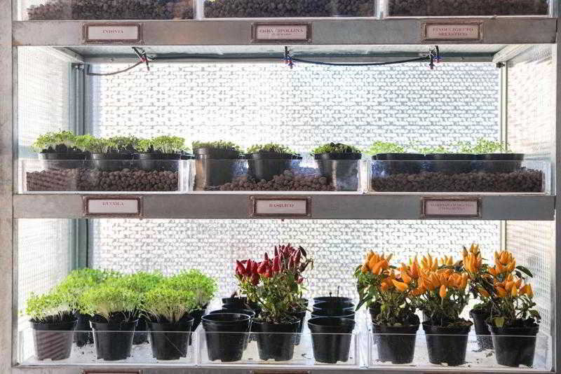 Alibaba https://cdn.alibaba.ir/ostorage/hotel/images/B08AB15C/B86E57F6072FBC07373C780660F8C909.jpg