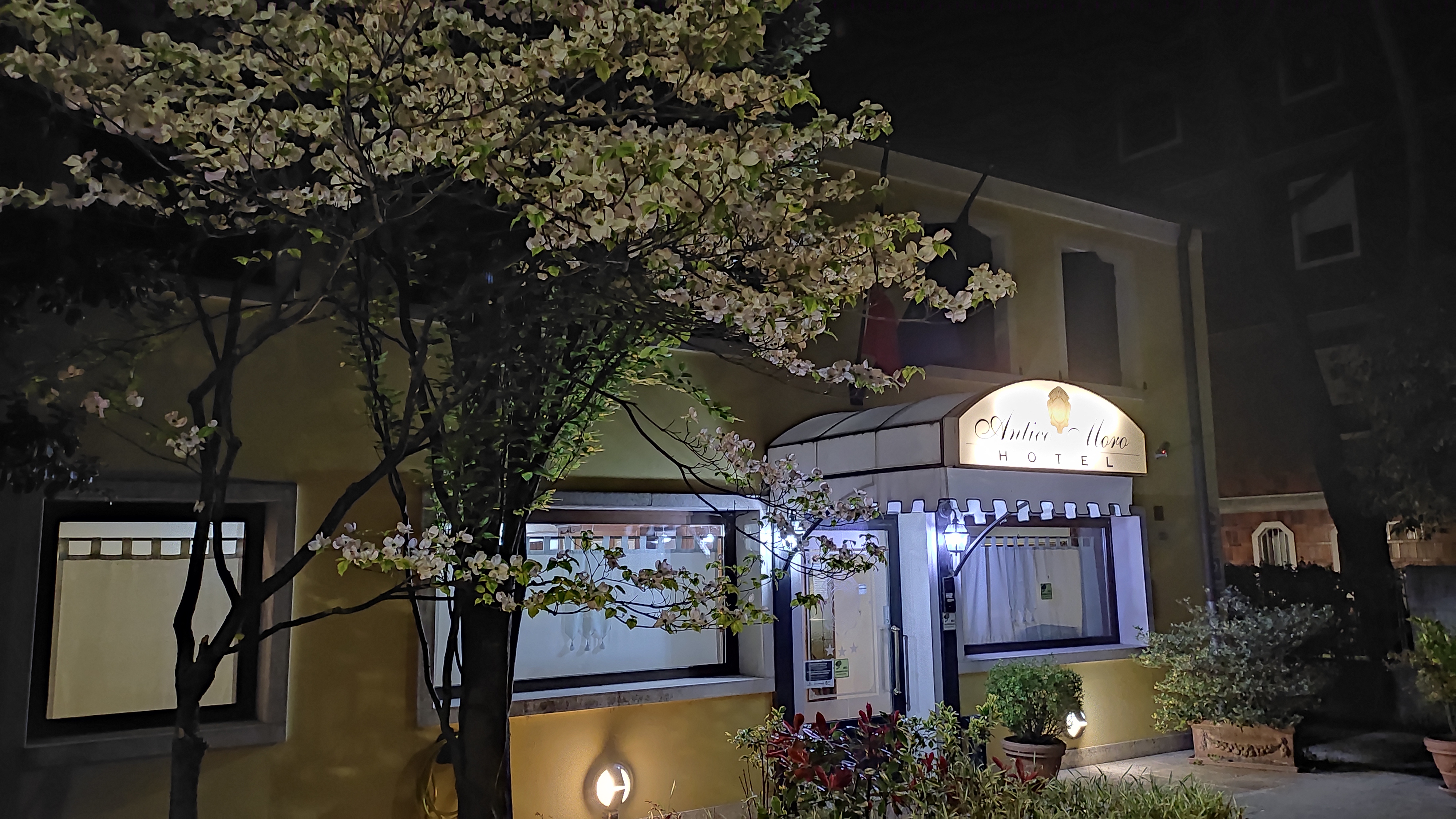 Alibaba https://cdn.alibaba.ir/ostorage/hotel/images/B495C73B/50E41CAF3C511E209C528C225AD32DF1.jpg