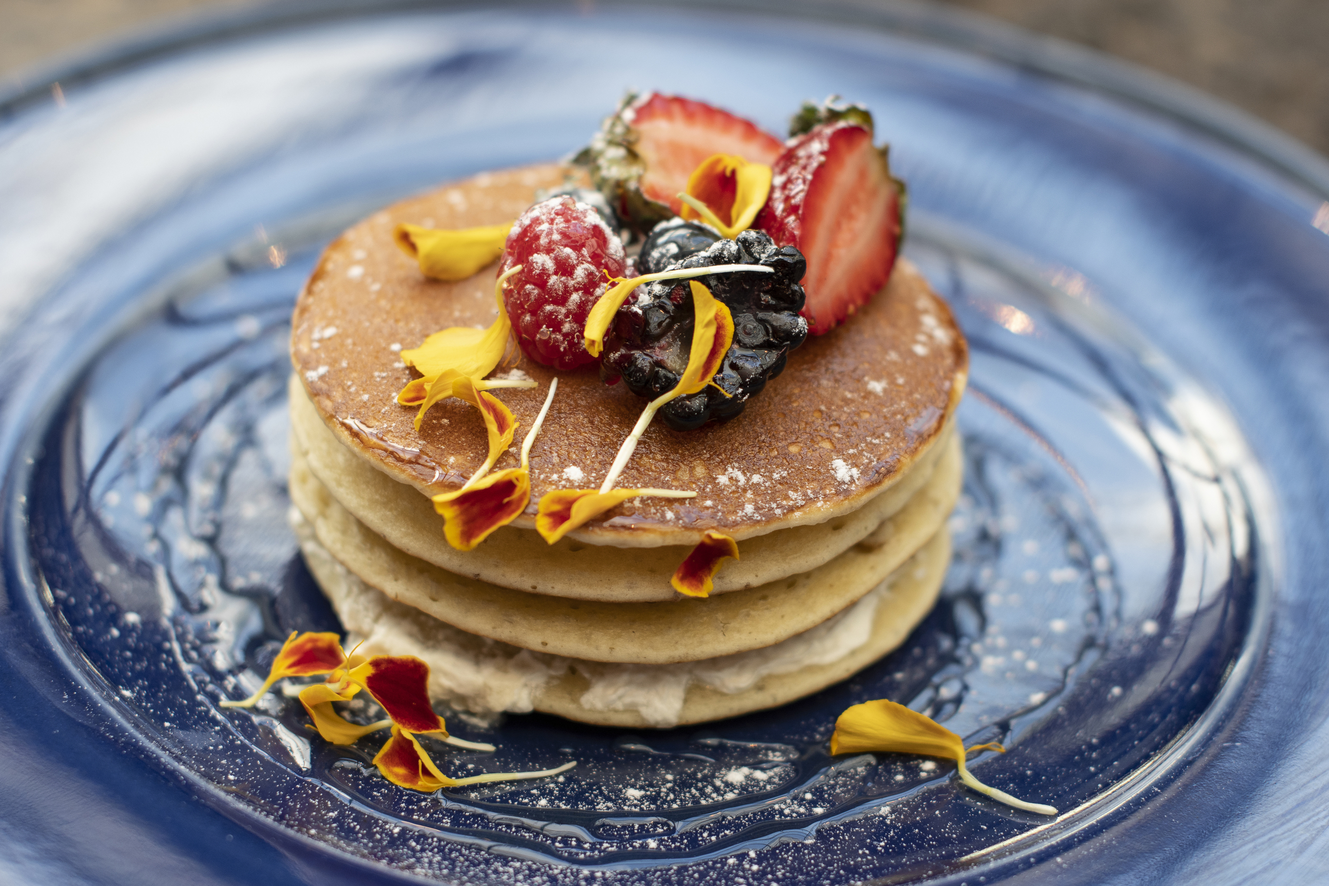 هتل SANA Malhoa Hotel لیسبون