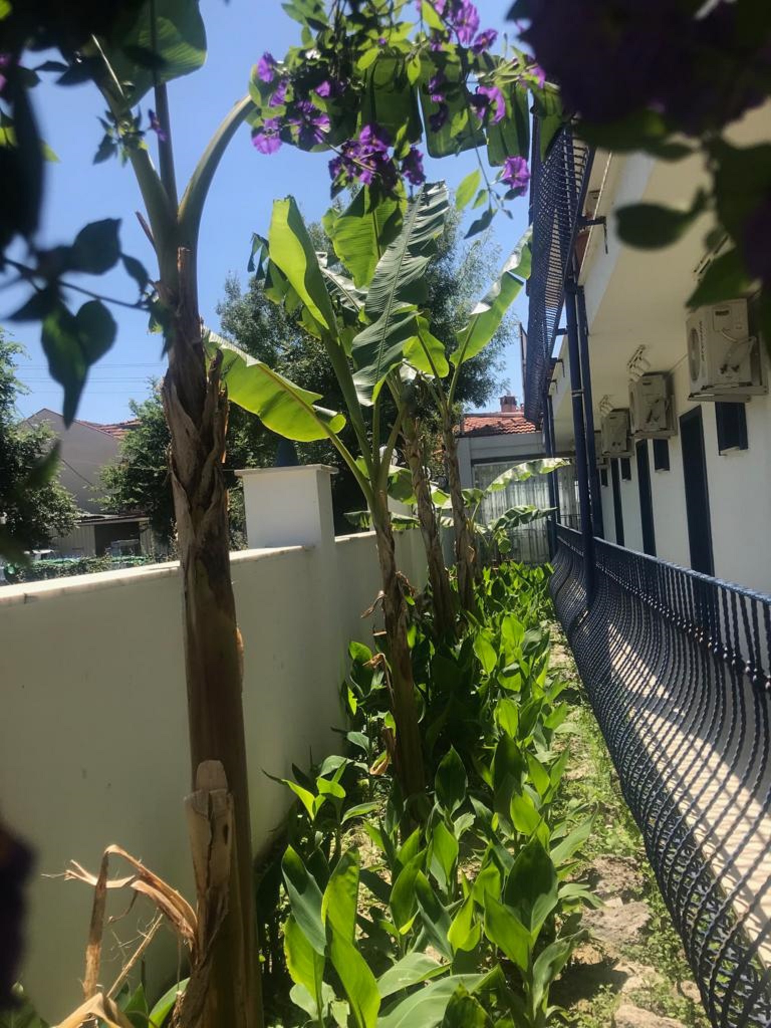 Alibaba https://cdn.alibaba.ir/ostorage/hotel/images/B903BE65/36C0BD8F163CA6D96EEF70CB4C82DF25.jpeg