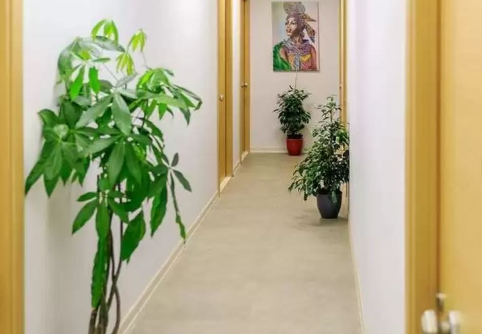 Alibaba https://cdn.alibaba.ir/ostorage/hotel/images/BAB62CFD/EEE1FA108A0723151CA7FC34CF2764AD.jpg