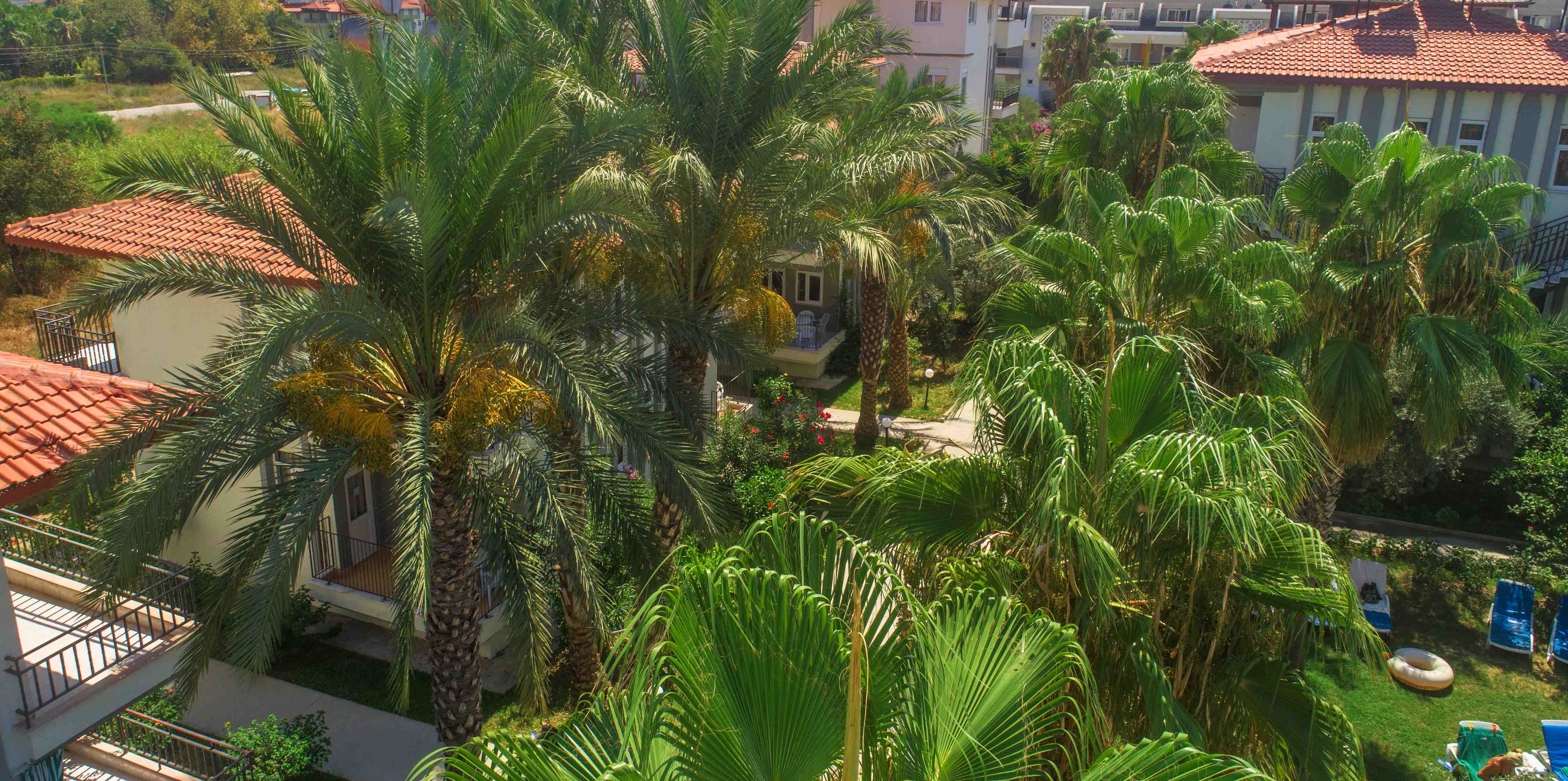 Alibaba https://cdn.alibaba.ir/ostorage/hotel/images/BEA414D7/C564DA275168DC1AE637BD054E57C6E2.jpg