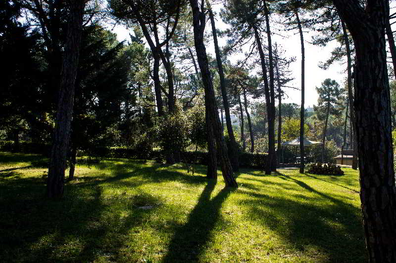 هتل Hotel Villa Cesi Impruneta