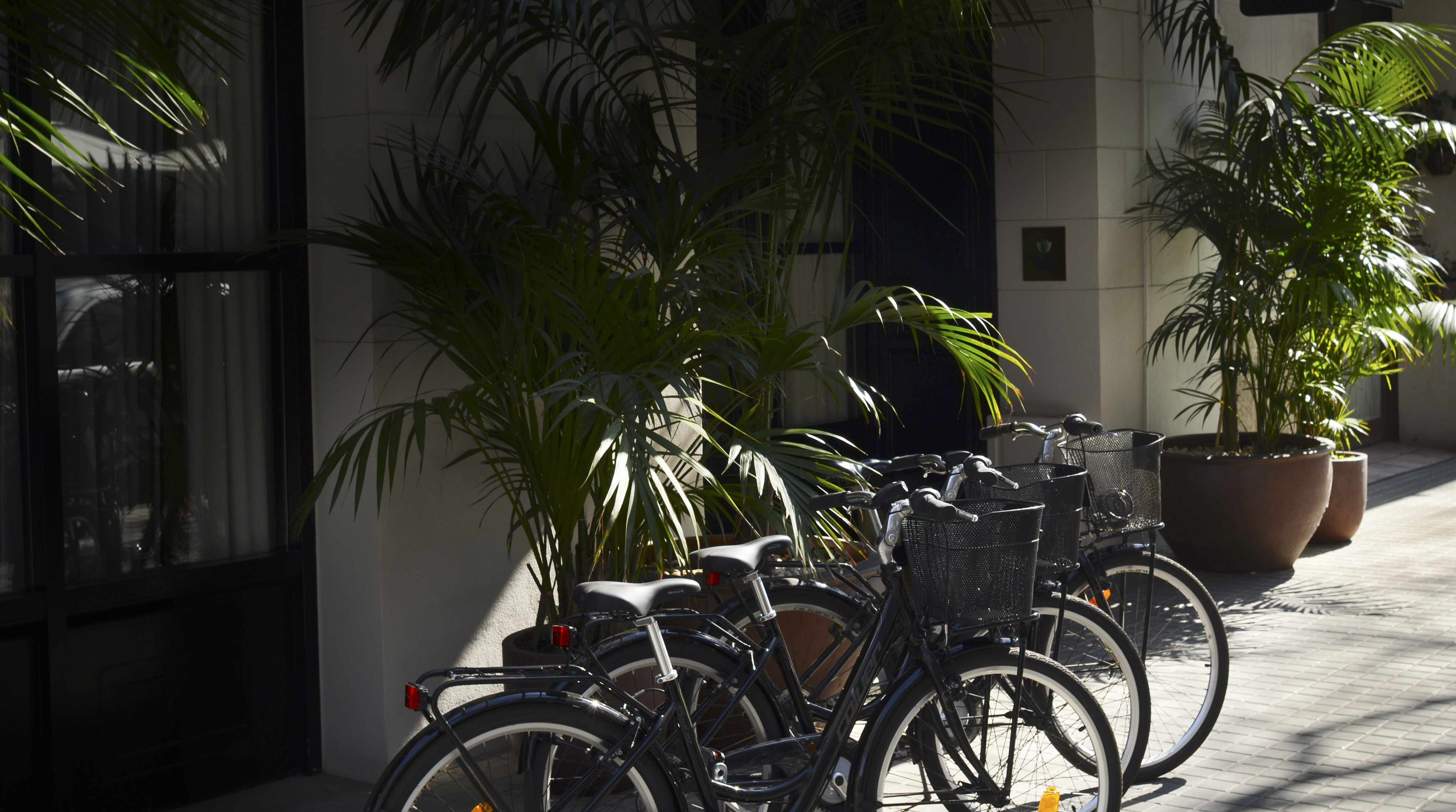 هتل Ofelias Hotel بارسلونا