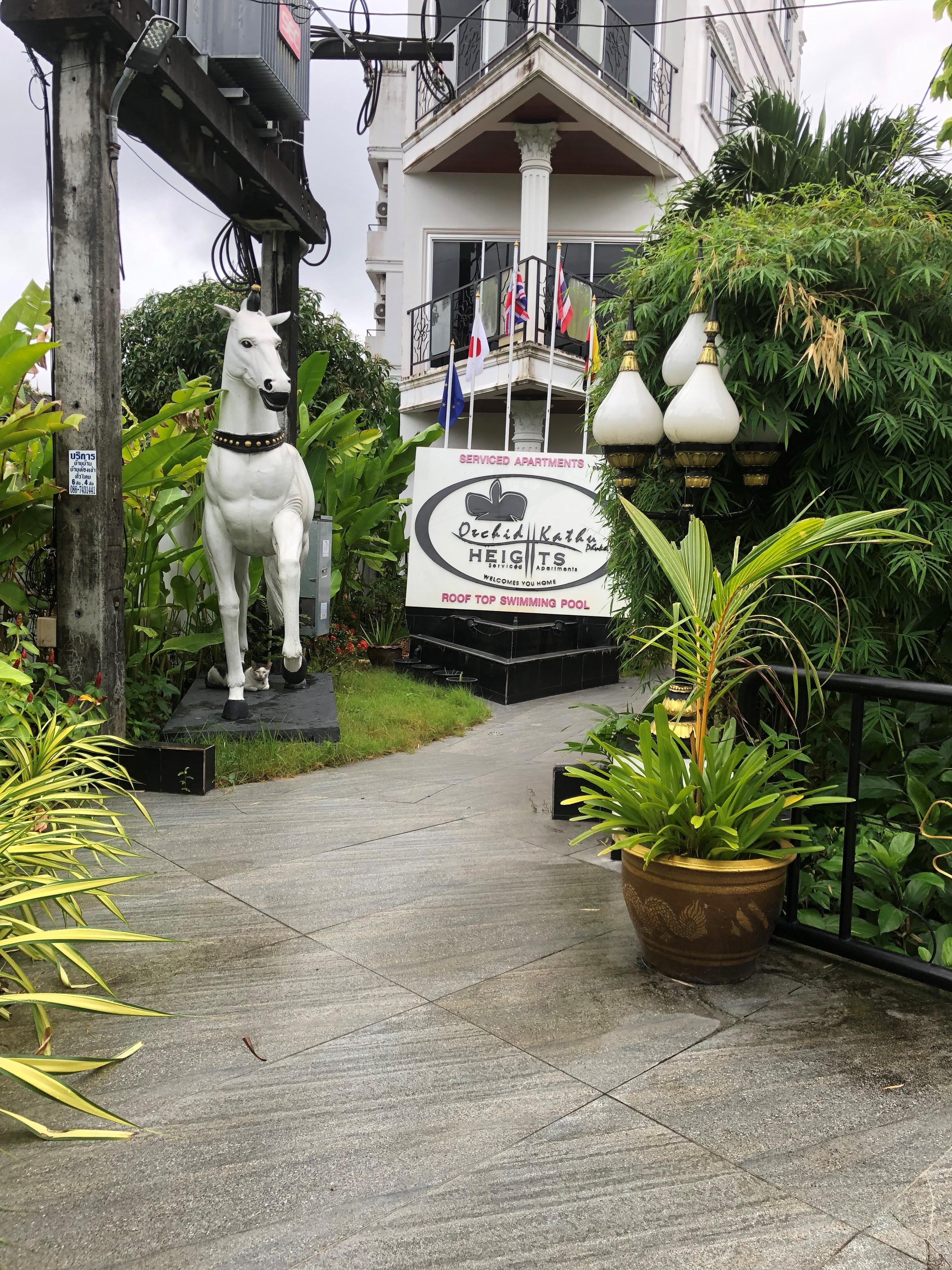 Alibaba https://cdn.alibaba.ir/ostorage/hotel/images/DD1CF71F/146C8A06B5CF073CD1825BB4EDA139BF.jpg