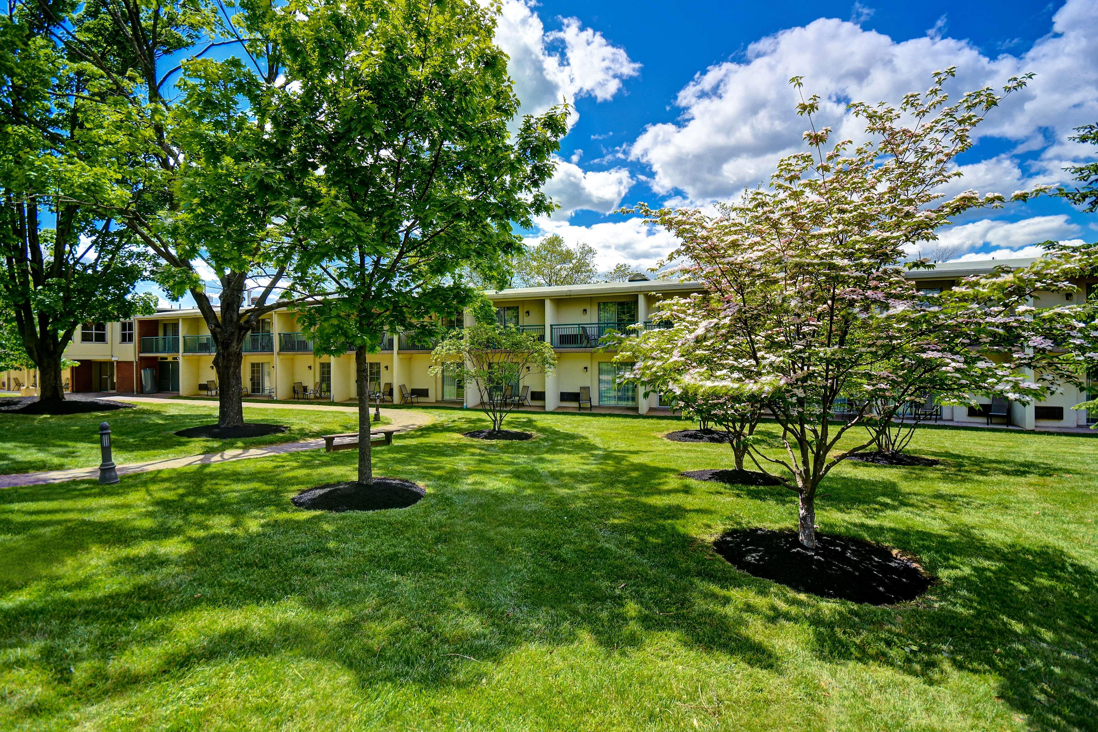 Alibaba https://cdn.alibaba.ir/ostorage/hotel/images/E1E332D3/3DF9520EE6CFACEA2CA33D68DE30FDED.jpg