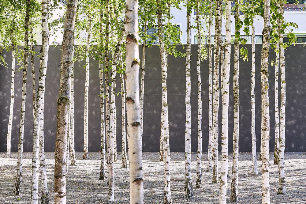 Alibaba https://cdn.alibaba.ir/ostorage/hotel/images/E2A6E20E/D387A86DBF5EC1A17819C60B5D8EADE6.jpg