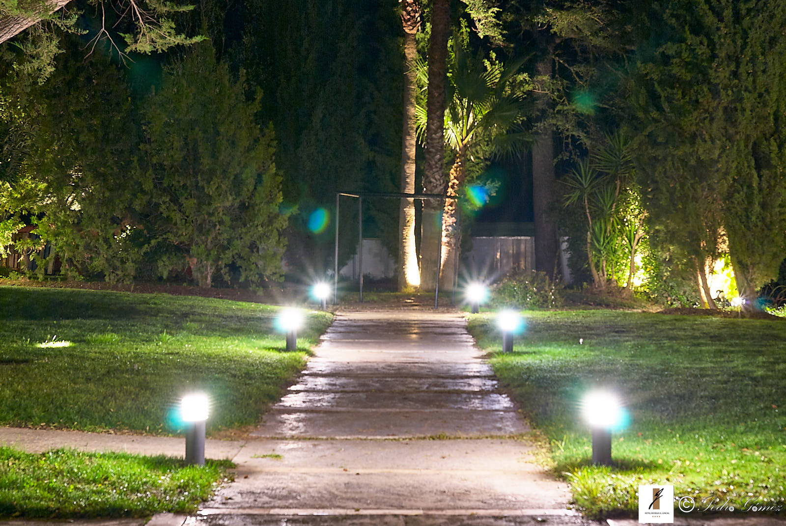 هتل Hotel Bodega El Juncal روندا
