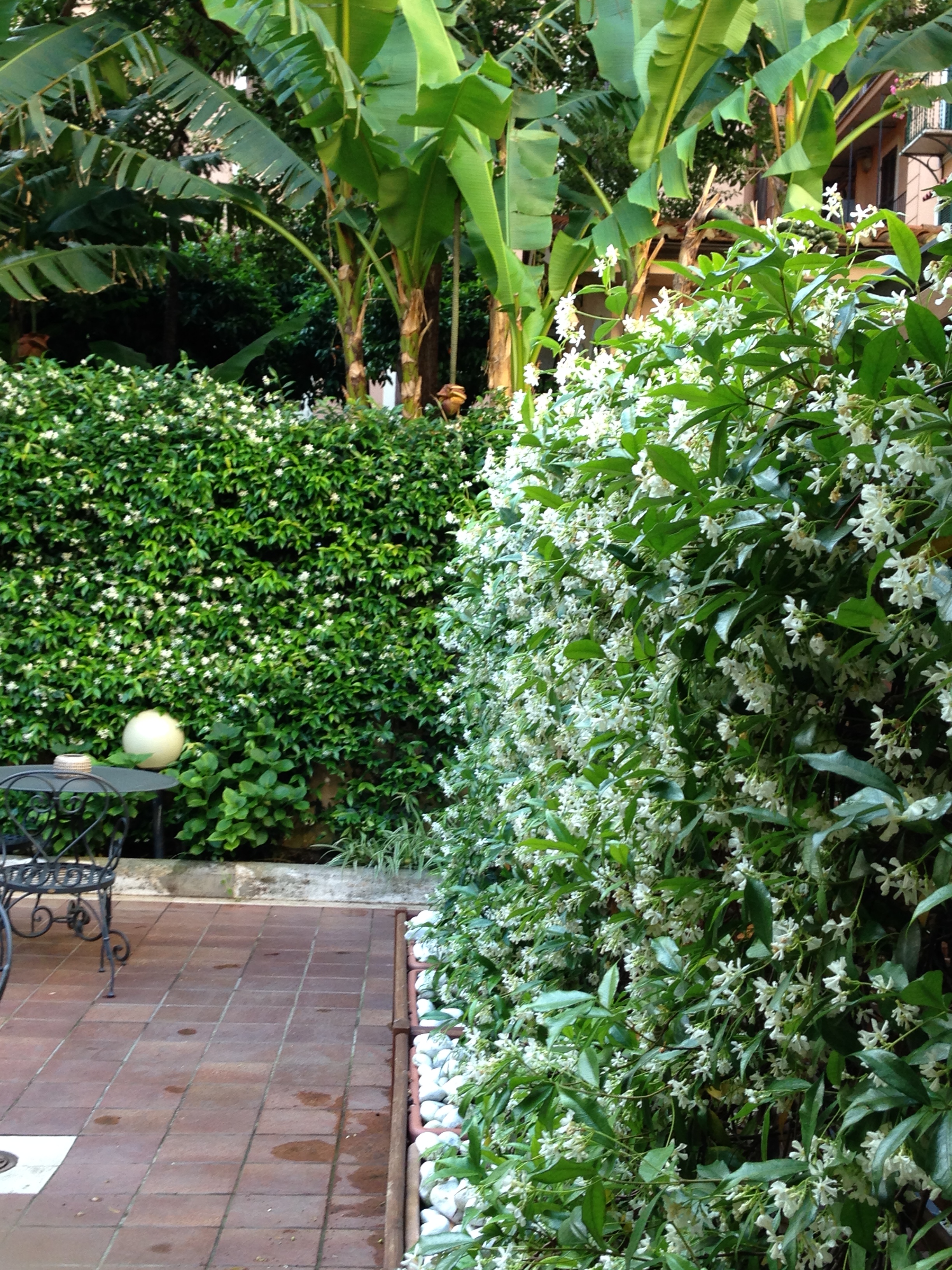 Alibaba https://cdn.alibaba.ir/ostorage/hotel/images/F8AEF8BA/1DE208787B1A9994E72F27F17F9722B1.JPG