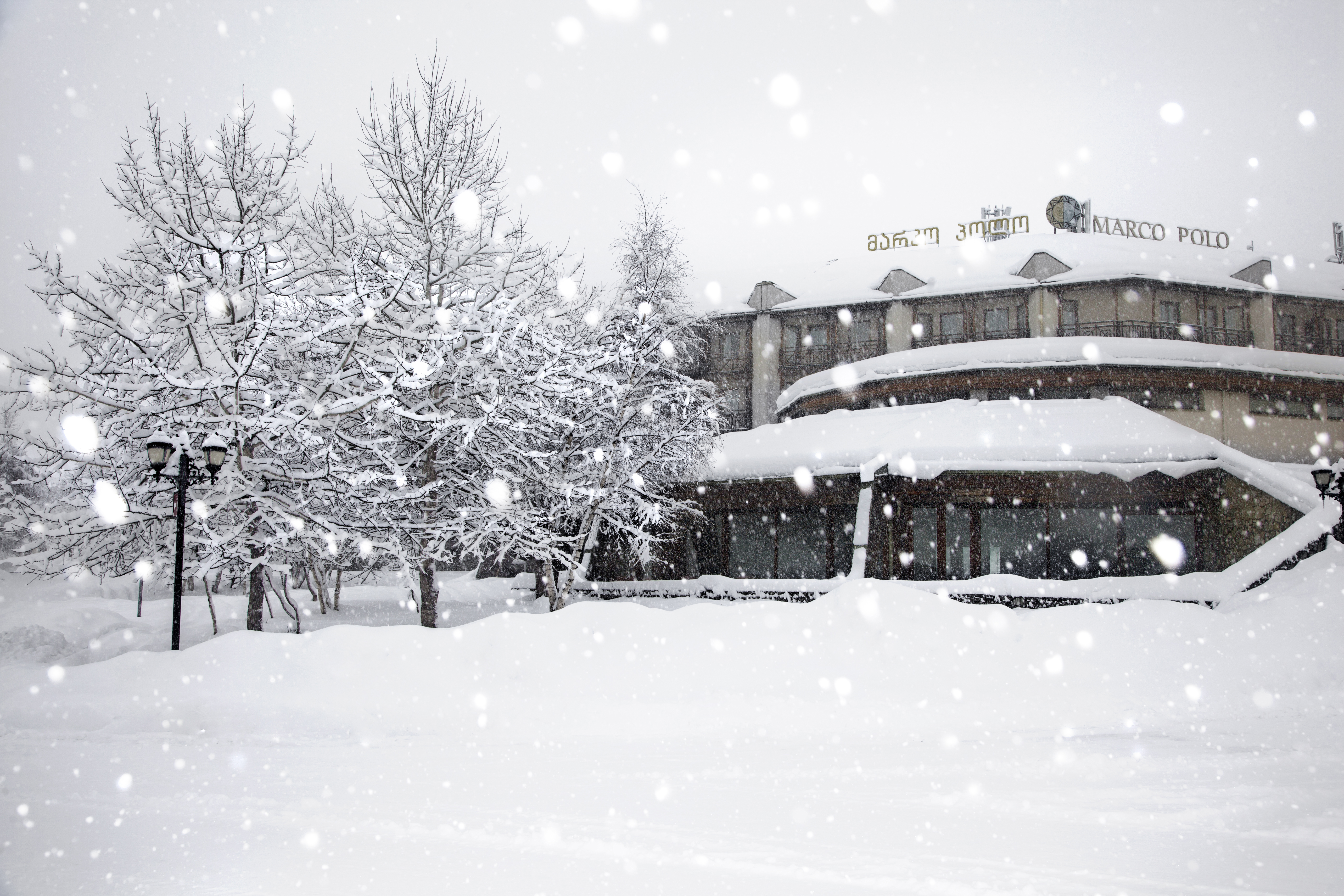 Alibaba https://cdn.alibaba.ir/ostorage/hotel/images/FB2C2DD0/34A9E31E92E641F90AC340B2CD7066E4.jpg