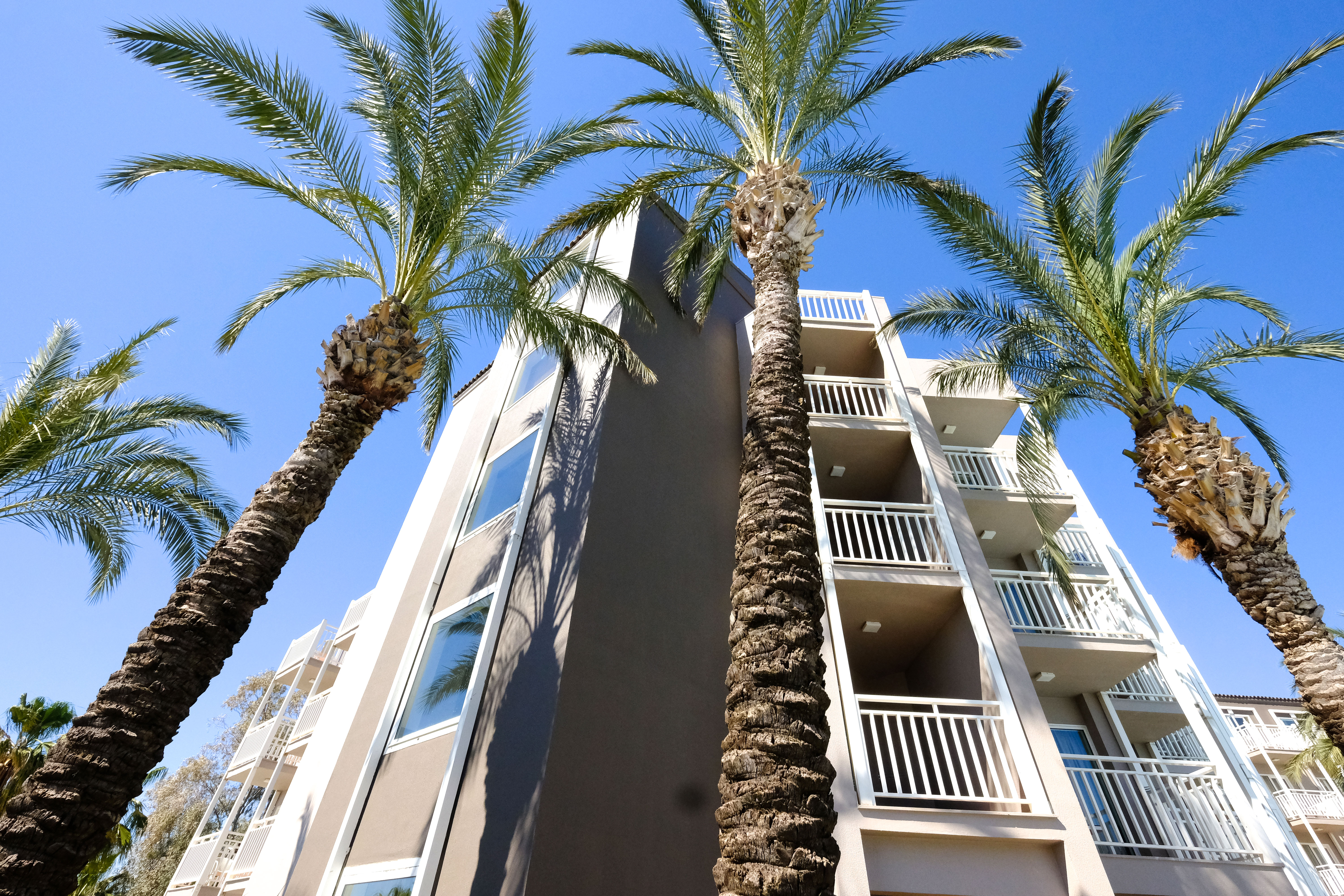 Alibaba https://cdn.alibaba.ir/ostorage/hotel/images/FB2F583C/DD6CAC2710D898EFED93C1A8702861CB.jpg