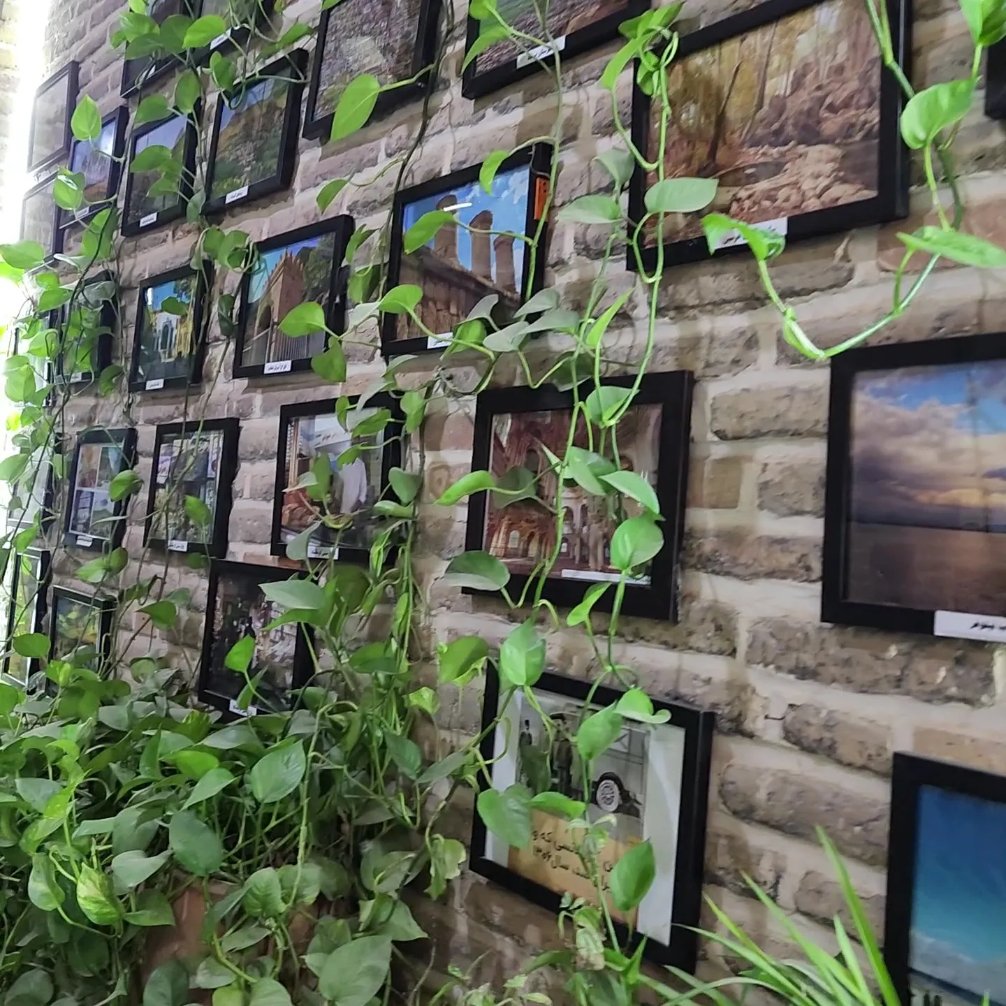 Alibaba https://cdn.alibaba.ir/ostorage/review-radar/1000109090-51ee35b7533746b7a2861e010c8d8d3f.webp