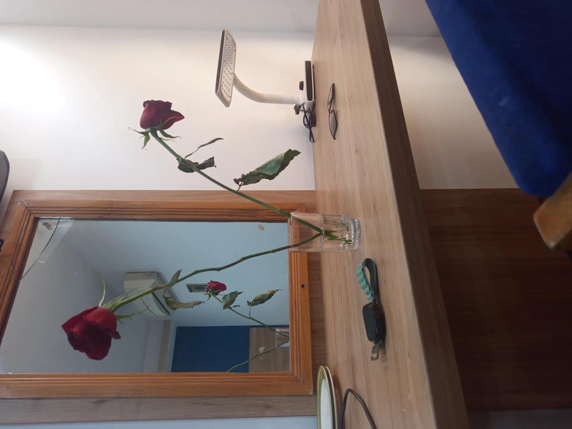 Alibaba https://cdn.alibaba.ir/ostorage/review-radar/1000194570-7dbb91d950fc45b68c91d2567eab2af1.webp