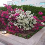 Alibaba https://cdn.alibaba.ir/ostorage/review-radar/IMG_20241206_195852_099-3f0ba3204d564fedaecbcd287b1c56f0.jpg?w=144