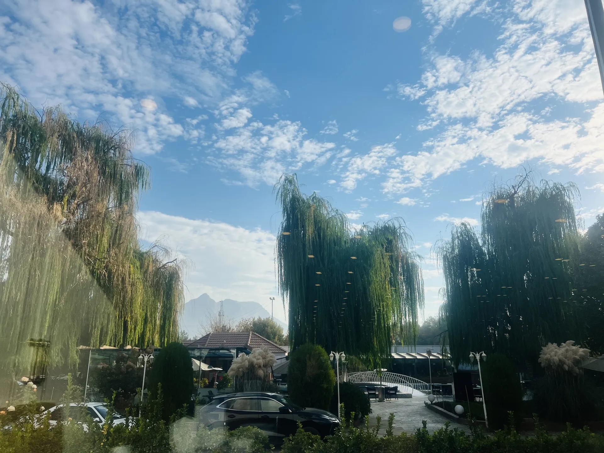 Alibaba https://cdn.alibaba.ir/ostorage/review-radar/IMG_7213-3762ba23a96d4c918d07f9d2c59d93be.webp